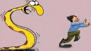 夢(mèng)見(jiàn)蛇是什么意思？做夢(mèng)夢(mèng)見(jiàn)蛇好不好？